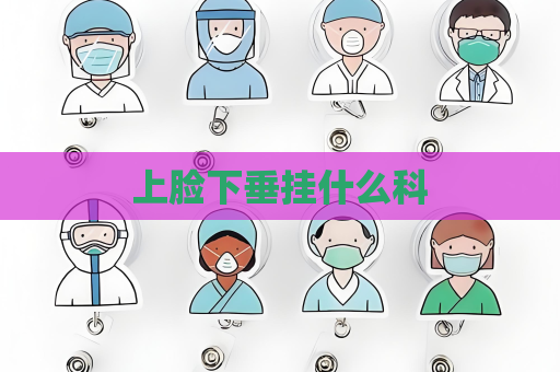 上臉下垂掛什么科