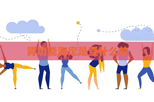 腎功能測定是查什么的