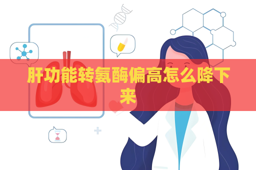 肝功能轉(zhuǎn)氨酶偏高怎么降下來