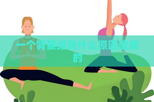 一個腎萎縮是什么原因造成的