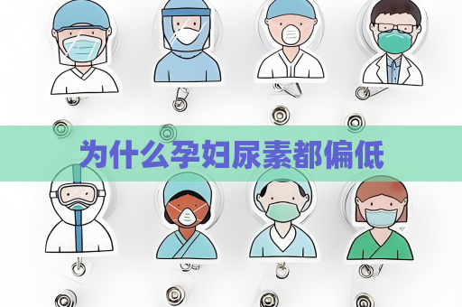 為什么孕婦尿素都偏低
