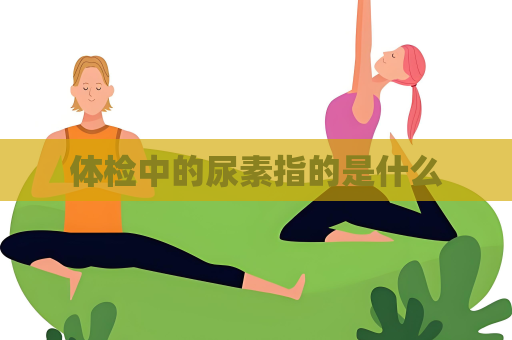 體檢中的尿素指的是什么