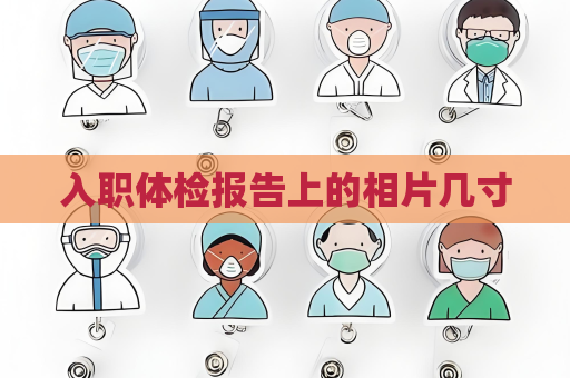 入職體檢報告上的相片幾寸