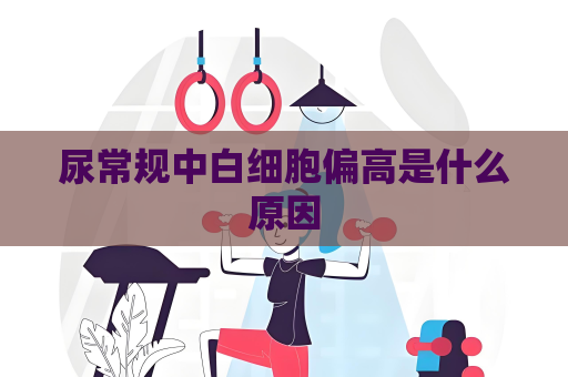 尿常規中白細胞偏高是什么原因