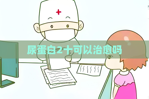 尿蛋白2十可以治愈嗎