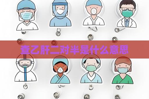 查乙肝二對半是什么意思