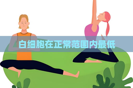 白細胞在正常范圍內最低