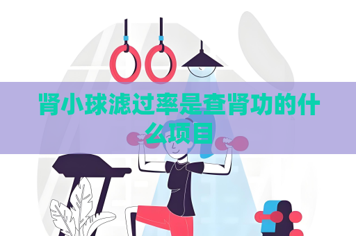 腎小球濾過率是查腎功的什么項目