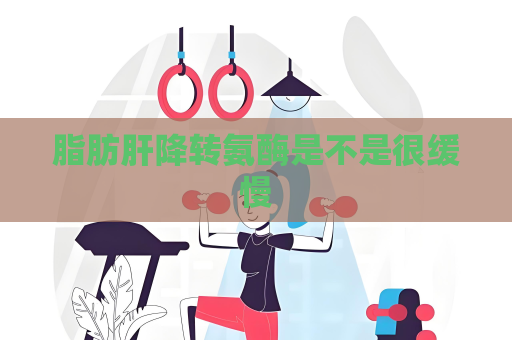 脂肪肝降轉氨酶是不是很緩慢
