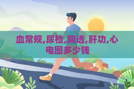 血常規,尿檢,胸透,肝功,心電圖多少錢