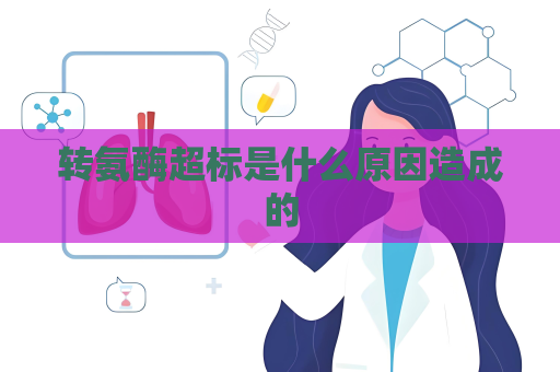 轉氨酶超標是什么原因造成的