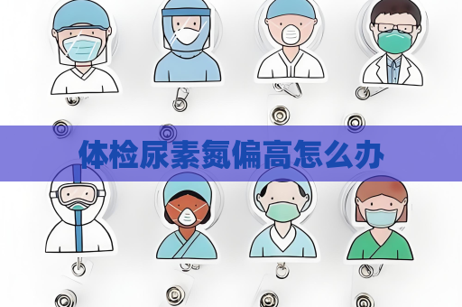 體檢尿素氮偏高怎么辦