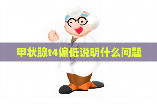 甲狀腺t4偏低說明什么問題