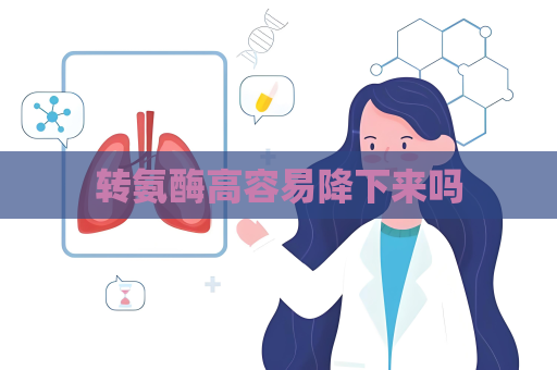 轉(zhuǎn)氨酶高容易降下來(lái)嗎