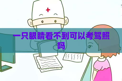 一只眼睛看不到可以考駕照嗎