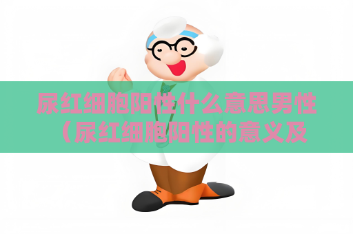 尿紅細胞陽性什么意思男性 （尿紅細胞陽性的意義及建議）