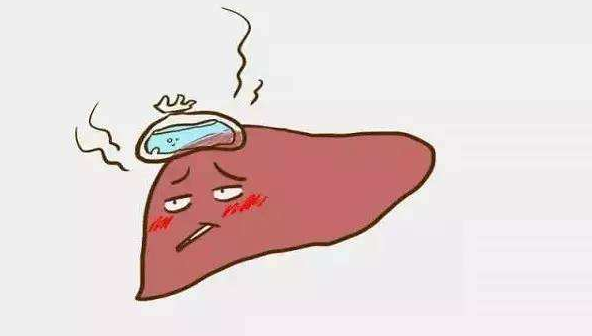 入職體檢中轉氨酶的具體合格標準