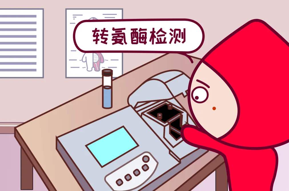 轉(zhuǎn)氨酶180公務(wù)員體檢錄取嗎